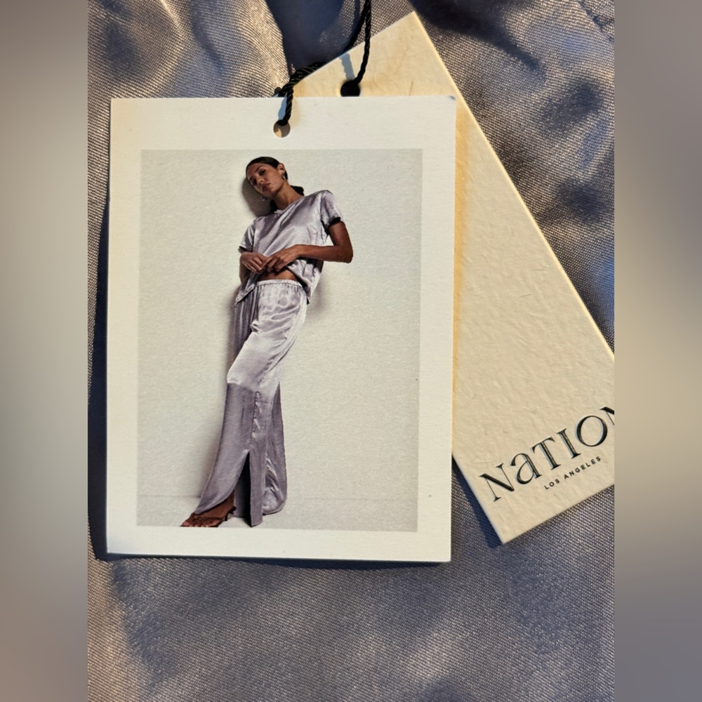Nation LTD Silver Satin pants